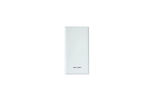 TOUCHE LISSE POUR MODULE TRANSMETTEUR 1 COMMANDE WHITEK 44