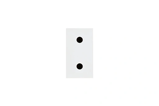 PRISE 2 POLES 16A SANS OBTURATEUR BLANC
